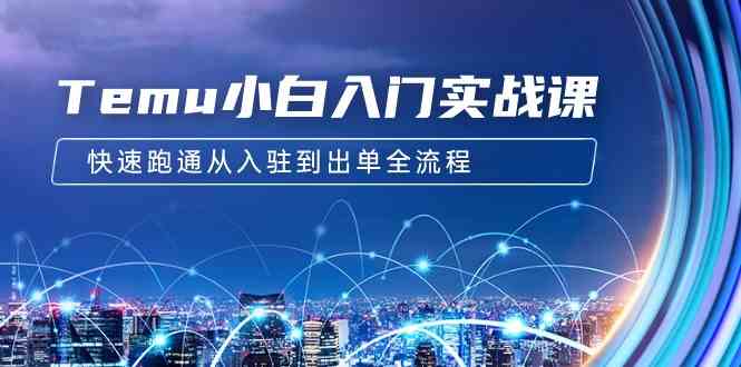 Temu小白入门实战课：跨境拼多多电商培训 快速跑通从入驻到出单全流程-12节-分享互联网最新创业兼职副业项目凌云网创