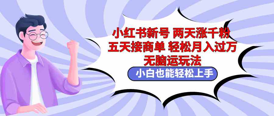 小红书新号两天涨千粉五天接商单轻松月入过万 无脑搬运玩法 小白也能轻…-分享互联网最新创业兼职副业项目凌云网创