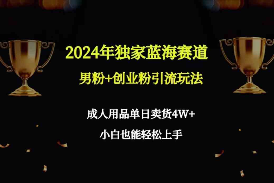 2024年独家蓝海赛道男粉+创业粉引流玩法，成人用品单日卖货4W+保姆教程-分享互联网最新创业兼职副业项目凌云网创