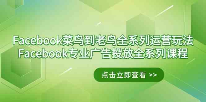 Facebook-菜鸟到老鸟全系列运营玩法+Facebook-专业广告投放全系列课程-分享互联网最新创业兼职副业项目凌云网创