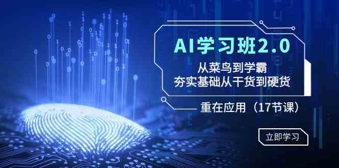 AI学习班2.0：从菜鸟到学霸，夯实基础从干货到硬货，重在应用（17节课）-分享互联网最新创业兼职副业项目凌云网创