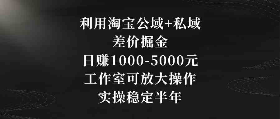 利用淘宝公域+私域差价掘金，日赚1000-5000元，工作室可放大操作，实操…-分享互联网最新创业兼职副业项目凌云网创