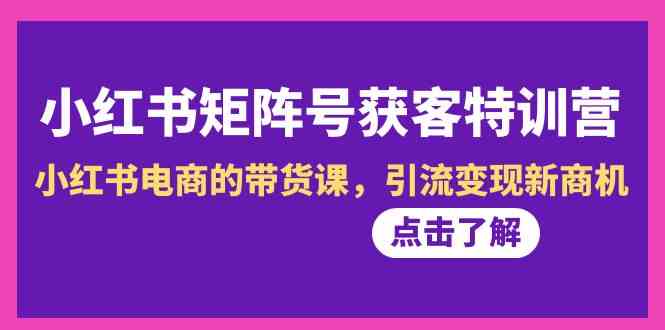 小红书-矩阵号获客特训营-第10期，小红书电商的带货课，引流变现新商机-分享互联网最新创业兼职副业项目凌云网创