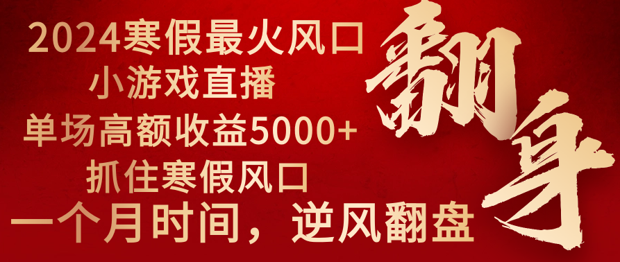 2024年最火寒假风口项目 小游戏直播 单场收益5000+抓住风口 一个月直接提车-分享互联网最新创业兼职副业项目凌云网创