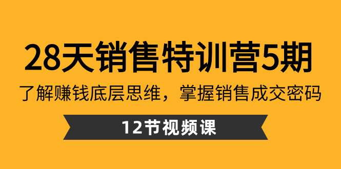 28天·销售特训营5期：了解赚钱底层思维，掌握销售成交密码（12节课）-分享互联网最新创业兼职副业项目凌云网创