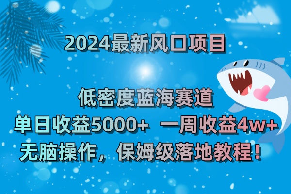 2024最新风口项目 低密度蓝海赛道，日收益5000+周收益4w+ 无脑操作，保…-分享互联网最新创业兼职副业项目凌云网创