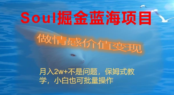 Soul掘金蓝海项目细分赛道，做情感价值变现，月入2w+不是问题-分享互联网最新创业兼职副业项目凌云网创