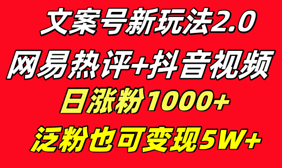 文案号新玩法 网易热评+抖音文案 一天涨粉1000+ 多种变现模式 泛粉也可变现-分享互联网最新创业兼职副业项目凌云网创