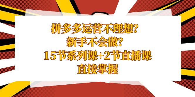 拼多多运营不理想？新手不会做？15节系列课+2节直播课，直接掌握-分享互联网最新创业兼职副业项目凌云网创