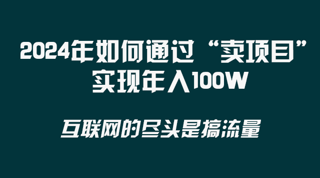 2024年如何通过“卖项目”实现年入100W-分享互联网最新创业兼职副业项目凌云网创