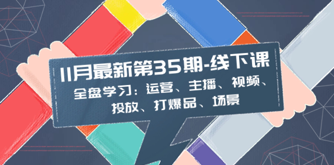 11月最新-35期-线下课：全盘学习：运营、主播、视频、投放、打爆品、场景-分享互联网最新创业兼职副业项目凌云网创