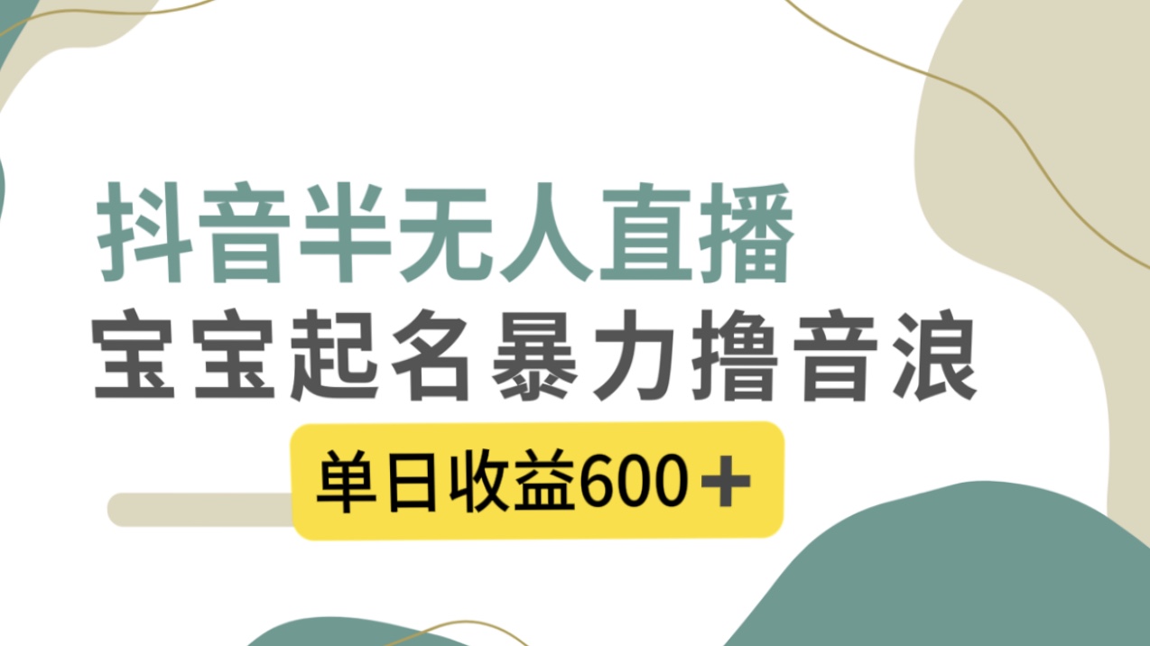 抖音半无人直播，宝宝起名，暴力撸音浪，单日收益600+-分享互联网最新创业兼职副业项目凌云网创