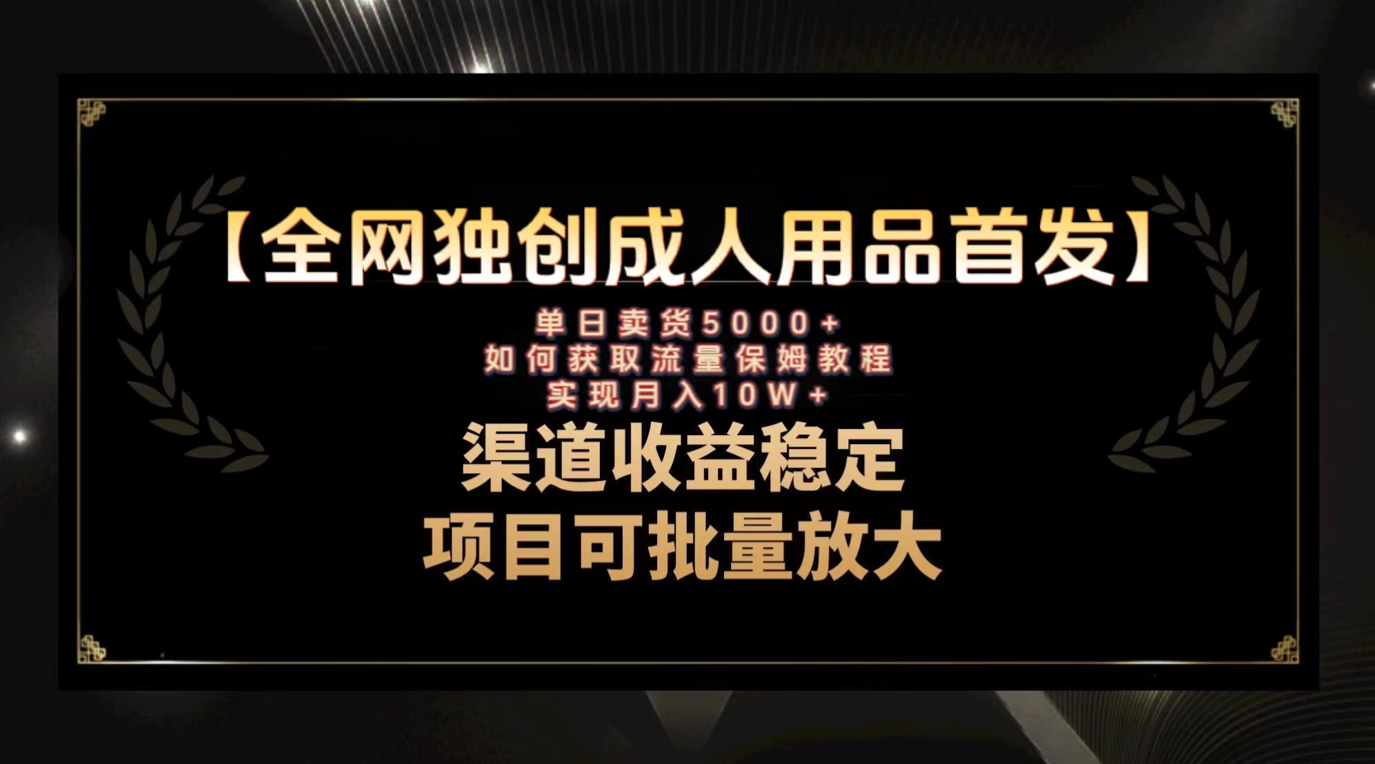 最新全网独创首发，成人用品赛道引流获客，月入10w保姆级教程-分享互联网最新创业兼职副业项目凌云网创