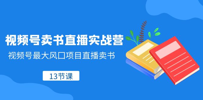 视频号-卖书直播实战营，视频号最大风囗项目直播卖书（13节课）-分享互联网最新创业兼职副业项目凌云网创