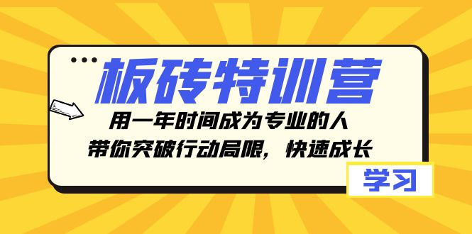 板砖特训营，用一年时间成为专业的人，带你突破行动局限，快速成长-分享互联网最新创业兼职副业项目凌云网创