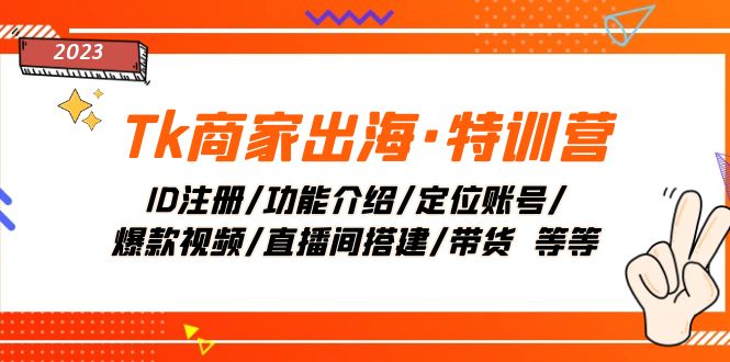 Tk商家出海·特训营：ID注册/功能介绍/定位账号/爆款视频/直播间搭建/带货.-分享互联网最新创业兼职副业项目凌云网创