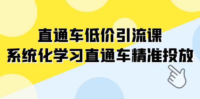 直通车-低价引流课，系统化学习直通车精准投放（14节课）-分享互联网最新创业兼职副业项目凌云网创