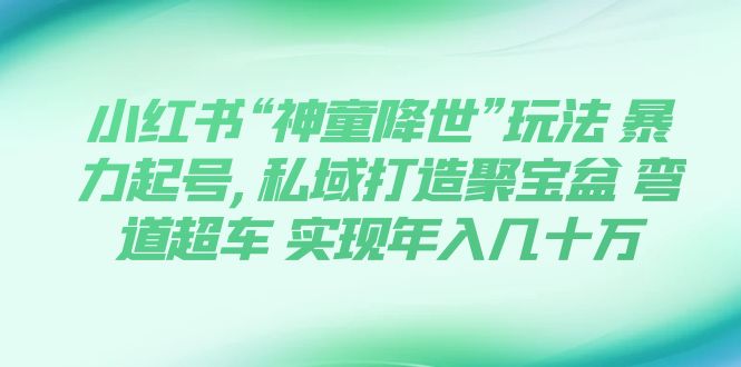 小红书“神童降世”玩法 暴力起号,私域打造聚宝盆 弯道超车 实现年入几十万-分享互联网最新创业兼职副业项目凌云网创