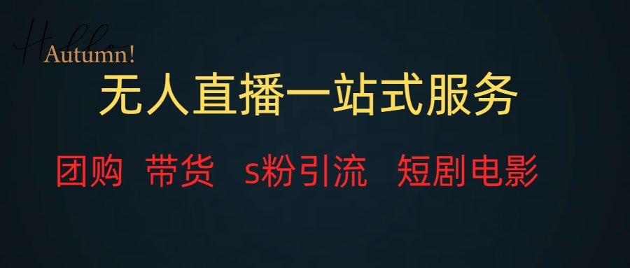 无人直播全套服务，变现稳定-分享互联网最新创业兼职副业项目凌云网创