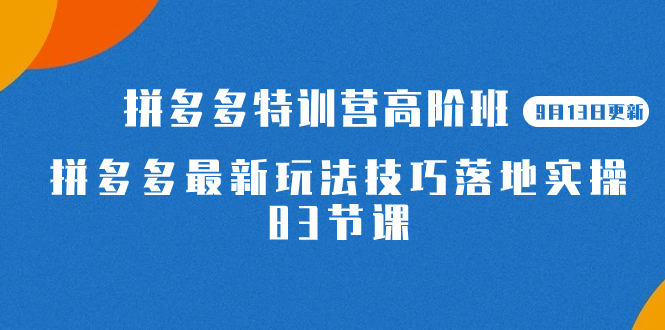 2023拼多多·特训营高阶班【9月13日更新】拼多多最新玩法技巧落地实操-83节-分享互联网最新创业兼职副业项目凌云网创