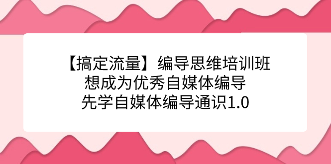 【搞定流量】编导思维培训班，想成为优秀自媒体编导先学自媒体编导通识1.0-分享互联网最新创业兼职副业项目凌云网创