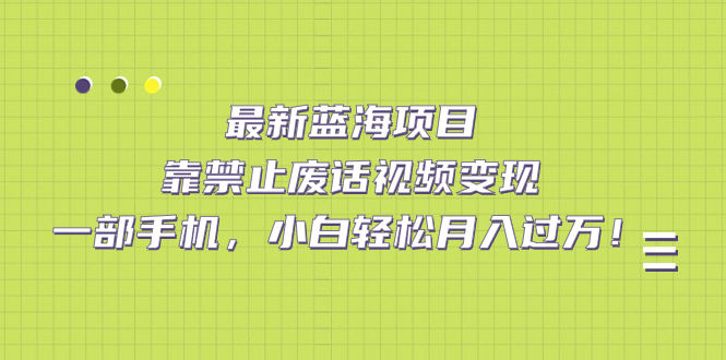 最新蓝海项目，靠禁止废话视频变现，一部手机，小白轻松月入过万！-分享互联网最新创业兼职副业项目凌云网创