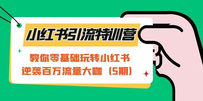 小红书引流特训营-第5期：教你零基础玩转小红书，逆袭百万流量大咖-分享互联网最新创业兼职副业项目凌云网创