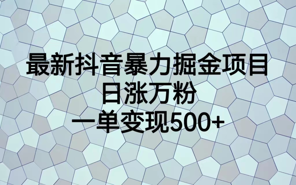 最火热的抖音暴力掘金项目，日涨万粉，多种变现方式，一单变现可达500+-分享互联网最新创业兼职副业项目凌云网创