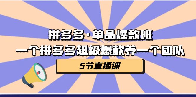 拼多多·单品爆款班，一个拼多多超级爆款养一个团队（5节直播课）-分享互联网最新创业兼职副业项目凌云网创