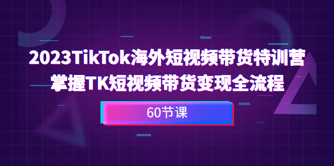 2023-TikTok海外短视频带货特训营，掌握TK短视频带货变现全流程（60节课）-分享互联网最新创业兼职副业项目凌云网创