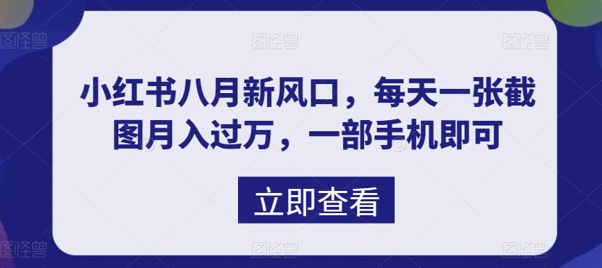 八月新风口，小红书虚拟项目一天收入1000+，实战揭秘-分享互联网最新创业兼职副业项目凌云网创