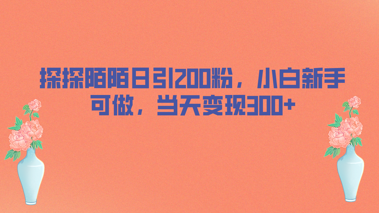 探探陌陌日引200粉，小白新手可做，当天就能变现300+-分享互联网最新创业兼职副业项目凌云网创