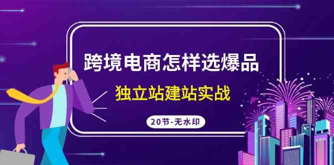 跨境电商怎样选爆品，独立站建站实战（20节高清无水印课）-分享互联网最新创业兼职副业项目凌云网创