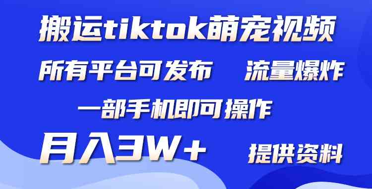 搬运Tiktok萌宠类视频，一部手机即可。所有短视频平台均可操作，月入3W+-分享互联网最新创业兼职副业项目凌云网创