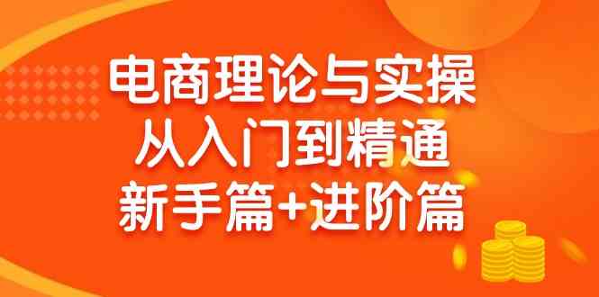 电商理论与实操从入门到精通 新手篇+进阶篇-分享互联网最新创业兼职副业项目凌云网创