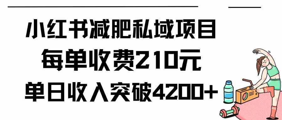 小红书减肥私域项目每单收费210元单日成交20单，最高日入4200+-分享互联网最新创业兼职副业项目凌云网创