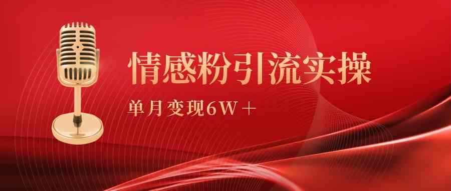 单月变现6w+，情感粉引流变现实操课-分享互联网最新创业兼职副业项目凌云网创