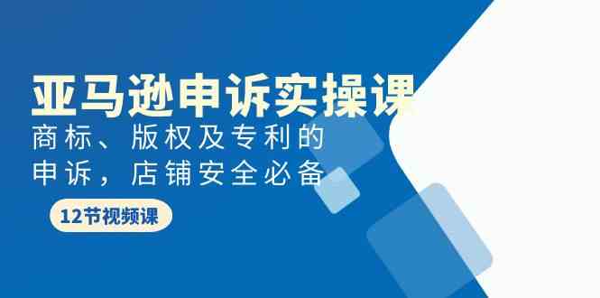 亚马逊-申诉实战课，​商标、版权及专利的申诉，店铺安全必备-分享互联网最新创业兼职副业项目凌云网创