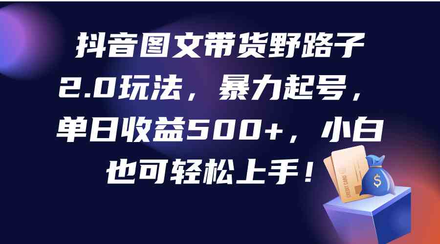 抖音图文带货野路子2.0玩法，暴力起号，单日收益500+，小白也可轻松上手！-分享互联网最新创业兼职副业项目凌云网创