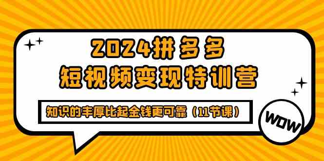 2024拼多多短视频变现特训营，知识的丰厚比起金钱更可靠（11节课）-分享互联网最新创业兼职副业项目凌云网创