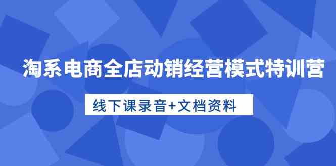 淘系电商全店动销经营模式特训营，线下课录音+文档资料-分享互联网最新创业兼职副业项目凌云网创