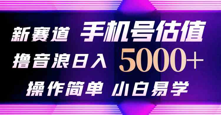 抖音不出境直播【手机号估值】最新撸音浪，日入5000+，简单易学，适合…-分享互联网最新创业兼职副业项目凌云网创