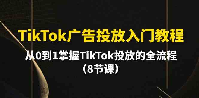 TikTok广告投放入门教程，从0到1掌握TikTok投放的全流程（8节课）-分享互联网最新创业兼职副业项目凌云网创