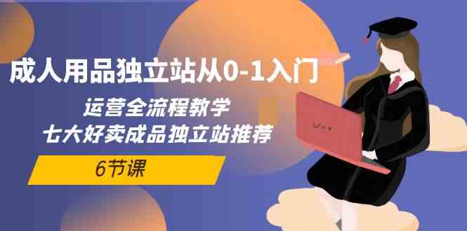 成人用品独立站从0-1入门，运营全流程教学，七大好卖成品独立站推荐-6节课-分享互联网最新创业兼职副业项目凌云网创