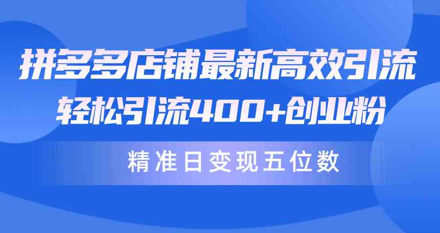 拼多多店铺最新高效引流术，轻松引流400+创业粉，精准日变现五位数！-分享互联网最新创业兼职副业项目凌云网创