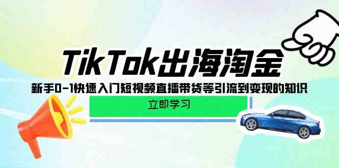 TikTok-出海淘金，新手0-1快速入门短视频直播带货等引流到变现的知识-分享互联网最新创业兼职副业项目凌云网创