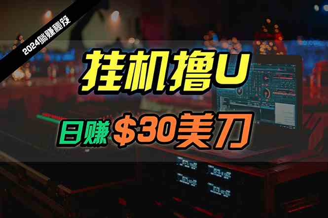 日赚30美刀，2024最新海外挂机撸U内部项目，全程无人值守，可批量放大-分享互联网最新创业兼职副业项目凌云网创