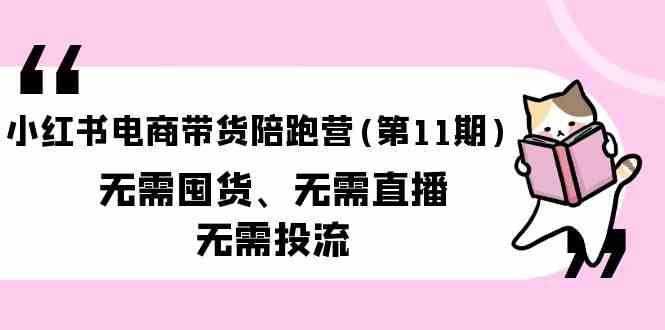 小红书电商带货陪跑营(第11期)无需囤货、无需直播、无需投流（送往期10套）-分享互联网最新创业兼职副业项目凌云网创