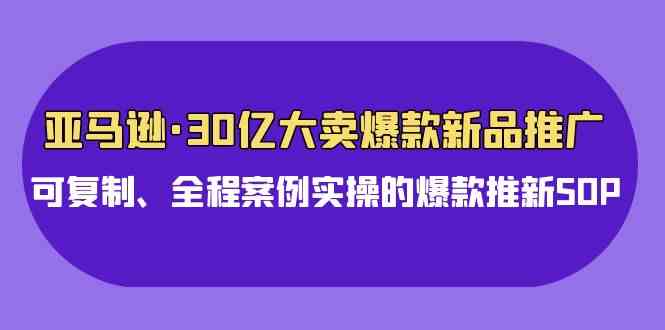 亚马逊30亿·大卖爆款新品推广，可复制、全程案例实操的爆款推新SOP-分享互联网最新创业兼职副业项目凌云网创