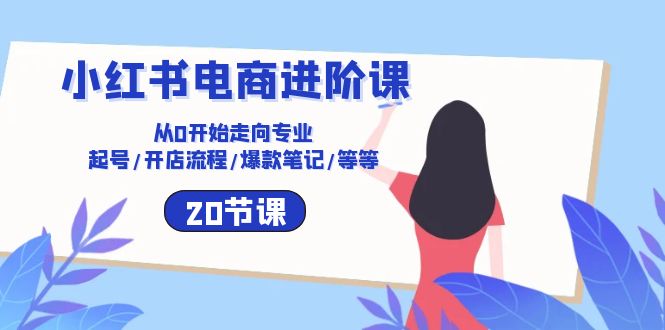 小红书电商进阶课：从0开始走向专业 起号/开店流程/爆款笔记/等等（20节）-分享互联网最新创业兼职副业项目凌云网创